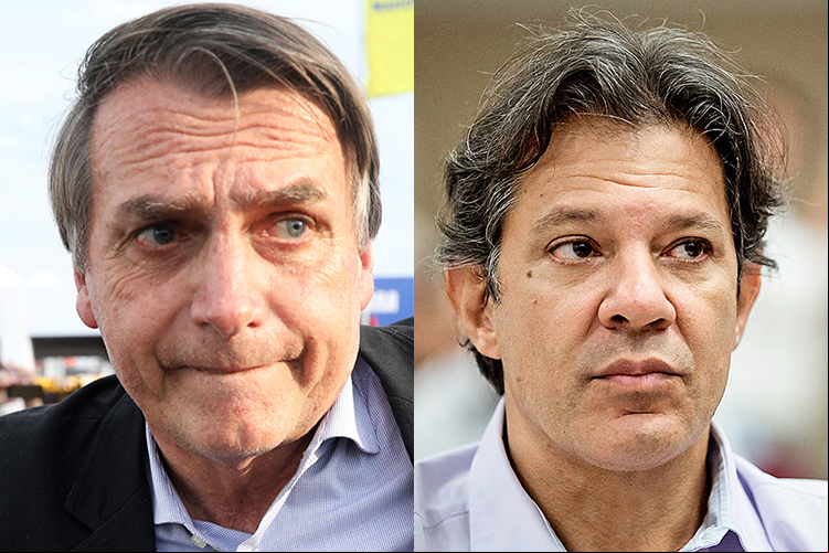 bolsonaro e haddad