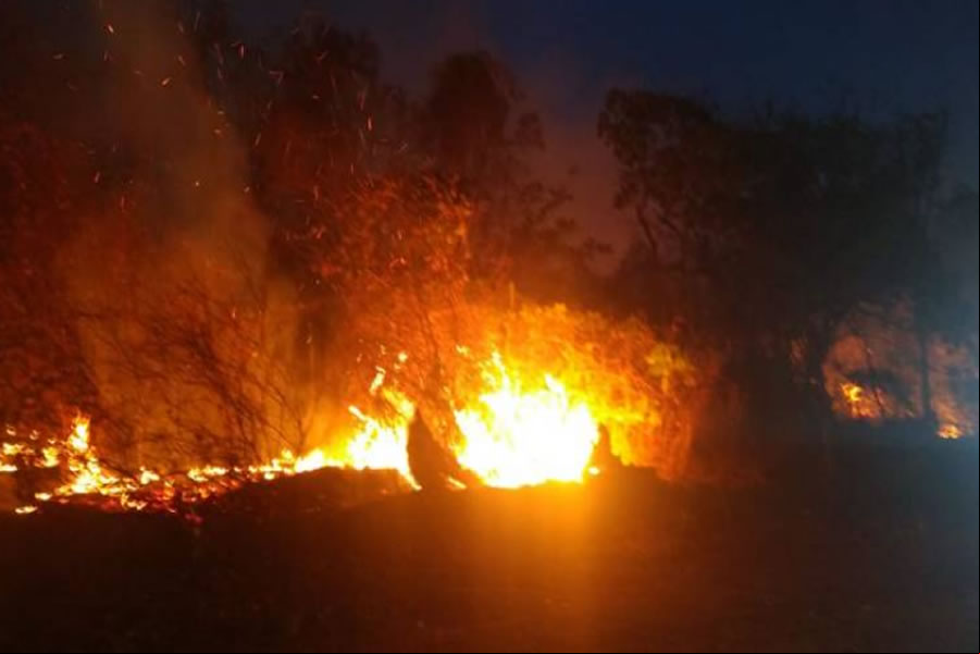 Incêndio na região sul do Piauí